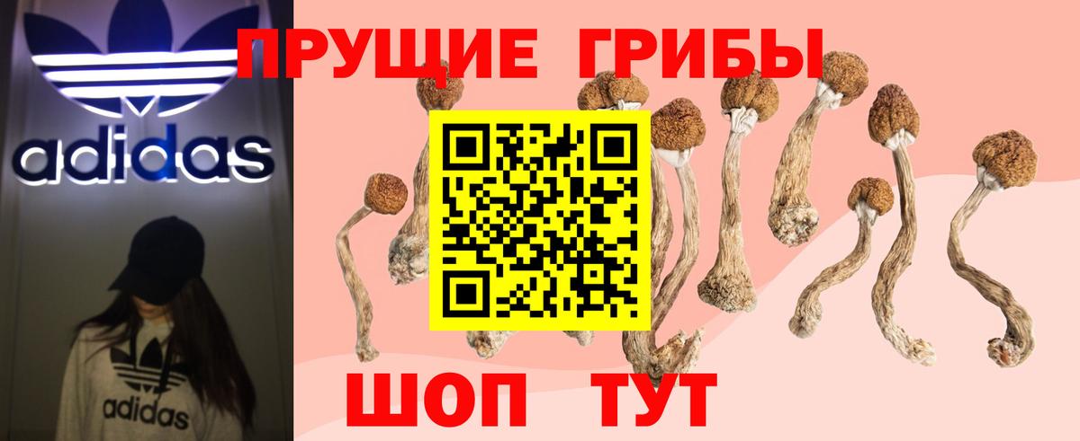 Галлюциногенные грибы мухоморы Бузулук